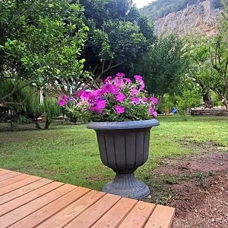 فندق Yedi Butik